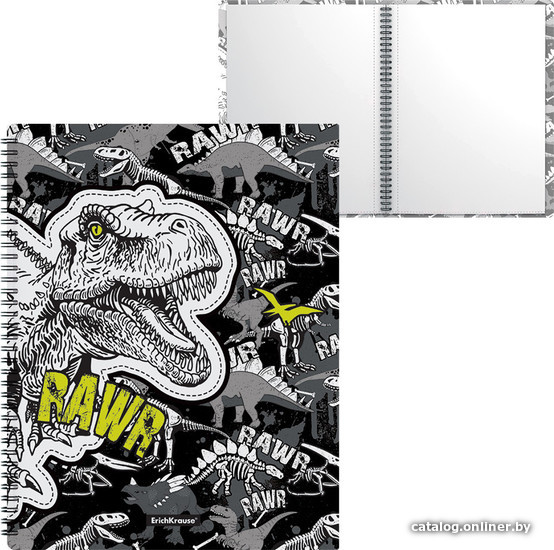 

Набор папок Erich Krause Dinosaur Park 20 карман. 52776 (4 шт)