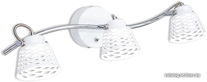 

Спот Citilux Орегон CL508530