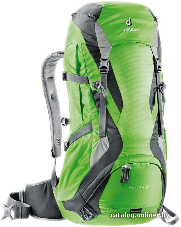 

Туристический рюкзак Deuter Futura 32 spring-anthracite [34254-2431]