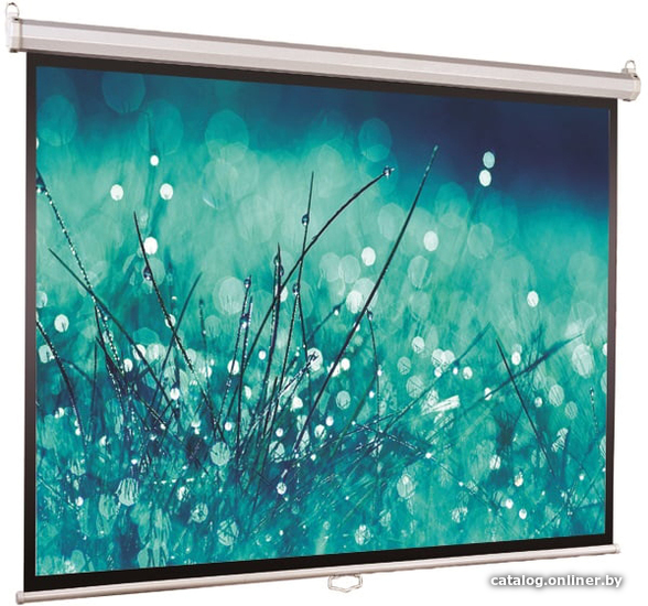 

Проекционный экран ViewScreen Scroll 200х127