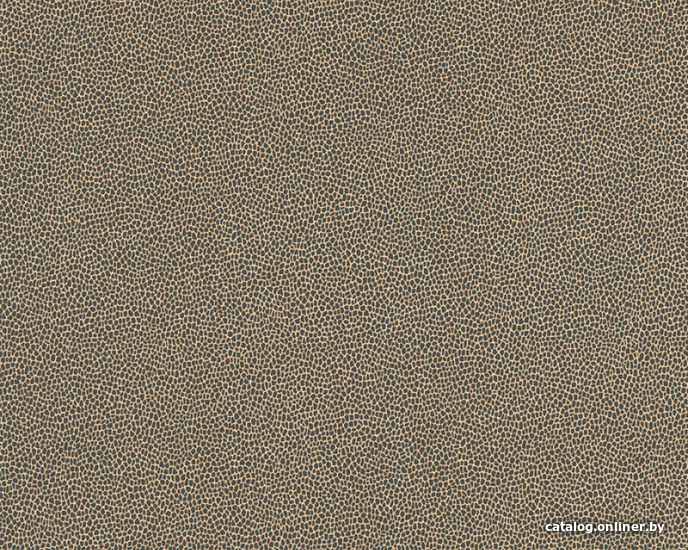 

Виниловые обои AS Creation Trendwall 37110-2