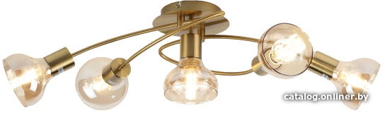 

Люстра средней высоты Rivoli Alba 7006-305