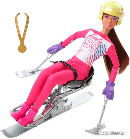

Кукла Barbie Зимние виды спорта Лыжник-паралимпиец HCN33