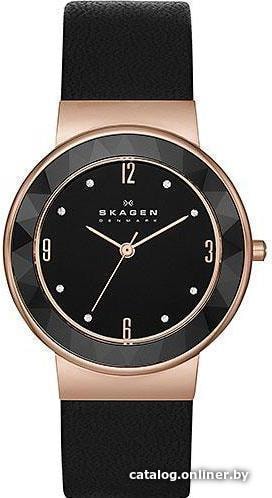 

Наручные часы Skagen SKW2223
