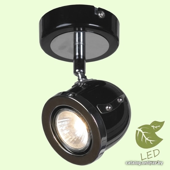 

Спот Lussole Loft GRLSN-3121-01