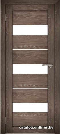 

Межкомнатная дверь Юни Амати 12 70x200 (дуб шале-корица/матовое стекло)