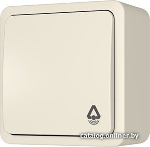 

Кнопка для звонка Vilma Style plus SL+250 P110-012 iv