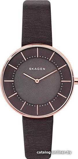 

Наручные часы Skagen SKW2613