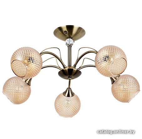 

Люстра средней высоты Arte Lamp Willow A3461PL-5AB