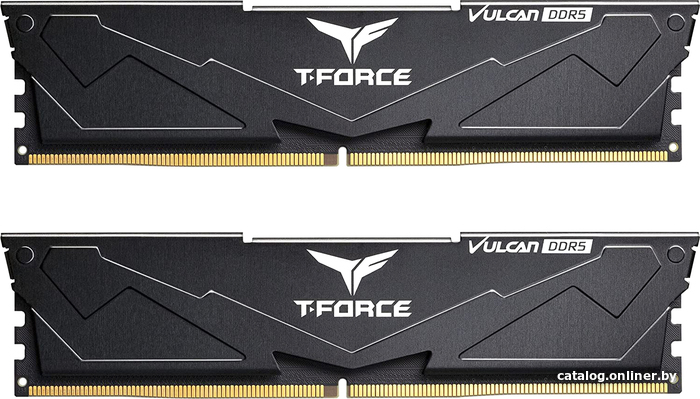 

Оперативная память Team T-Force Vulcan 2x32ГБ DDR5 5200 МГц FLBD564G5200HC40CDC01