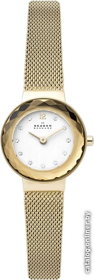 

Наручные часы Skagen SKW2800