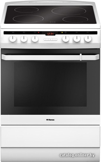 

Кухонная плита Hansa FCCW68200