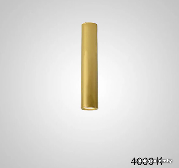 

Точечный светильник ImperiumLoft Pan01 212634-23