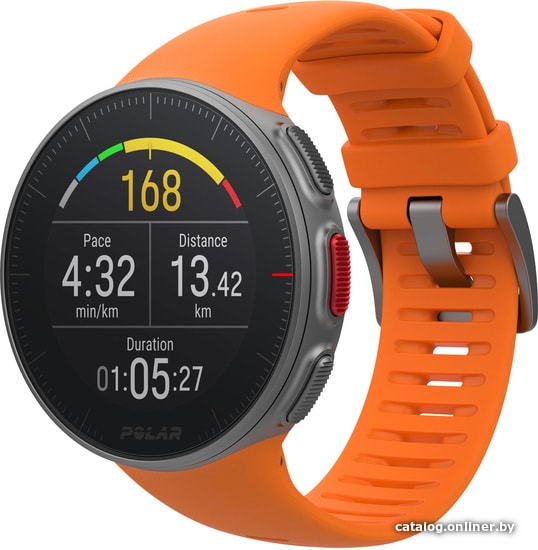 

Умные часы Polar Vantage V M/L (оранжевый)