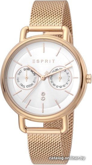 

Наручные часы Esprit ES1L179M0095