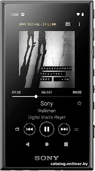 

Hi-Fi плеер Sony Walkman NW-A105 (черный)