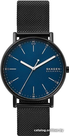 

Наручные часы Skagen SKW6655