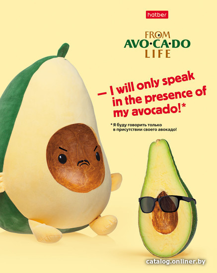 

Полуобщая тетрадь Hatber AvoCaDo life 48Т5В1 (48 л)