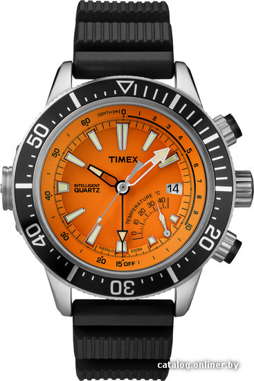 

Наручные часы Timex T2N812