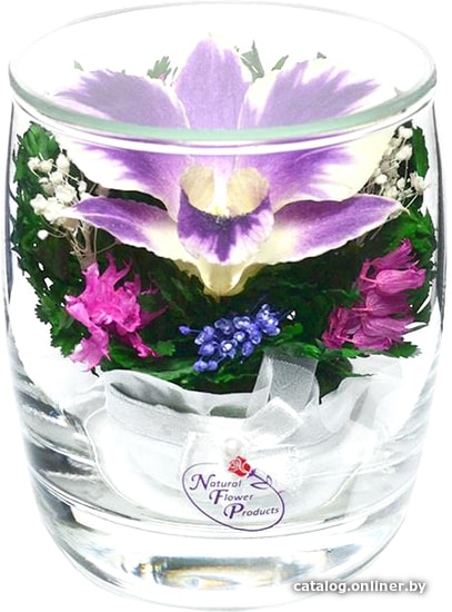

Цветы, букеты Natural Flower Products Композиция из фиолетово-белых орхидей ZTV2