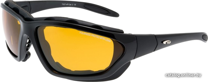 

Goggle T437-4P Polarized