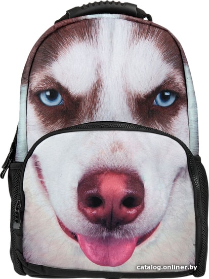 

Школьный рюкзак Hatber Trend Line Husky