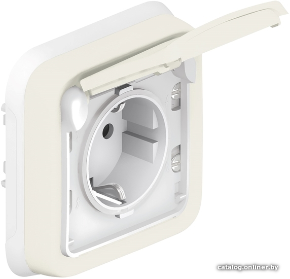 

Розетка Legrand Plexo 069869