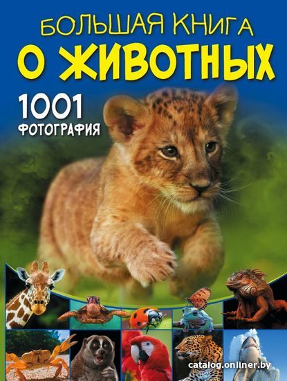 

АСТ. Большая книга о животных. 1001 фотография (Ермакович Дарья Ивановна)