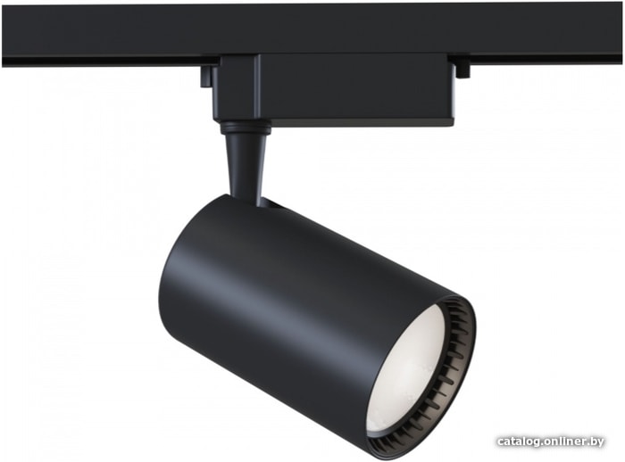 

Спот Maytoni Track Lamps TR003-1-30W3K-B
