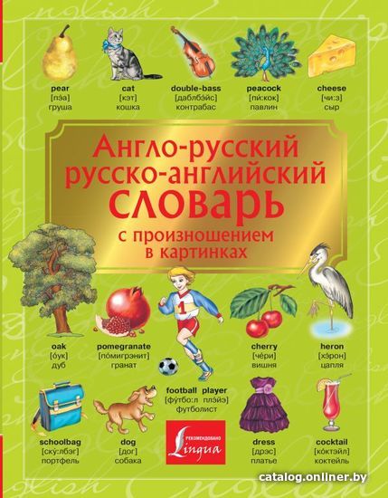 

АСТ. Англо-русский. Русско-английский словарь с произношением в картинках
