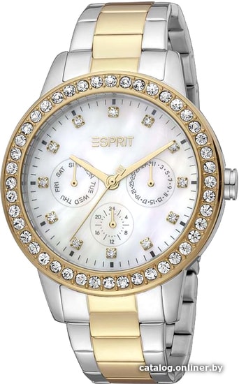 

Наручные часы Esprit ES1L311M0075