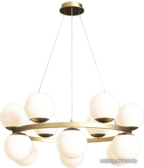 

Подвесная люстра L'Arte Luce Sanne L98301.92