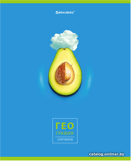 

Тетрадь предметная BRAUBERG Avocado. География 404277 (48 л, клетка)