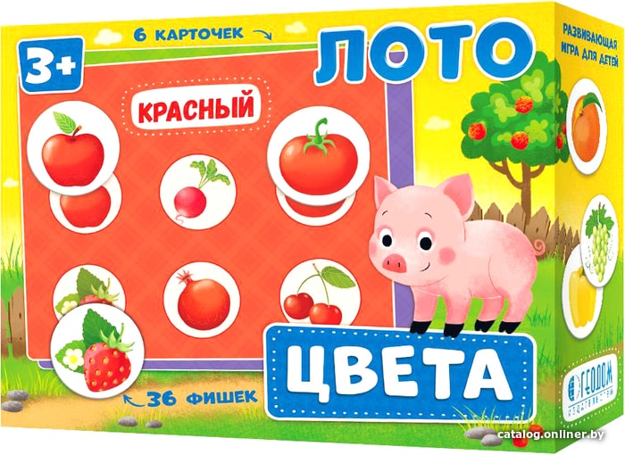 

Развивающая игра ГеоДом Лото Цвета