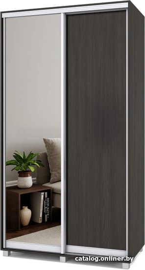 

Шкаф-купе Modern Роланд 1200 (600) (венге/зеркало)
