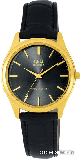

Наручные часы Q&Q Q852J102