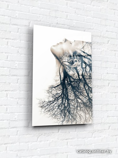 

Картина на стекле ArtaBosko WBR-01-367-04 40x60