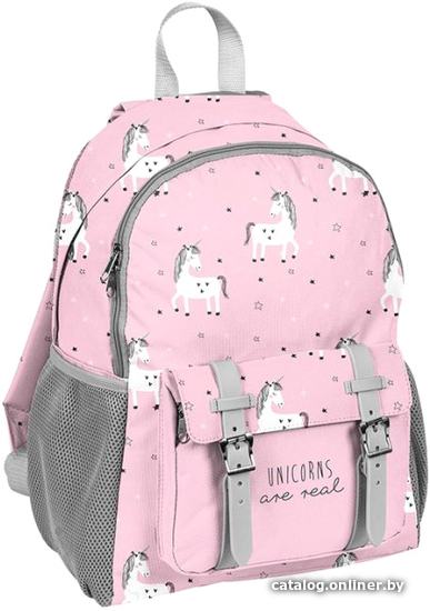 

Школьный рюкзак Paso PP19UN-810