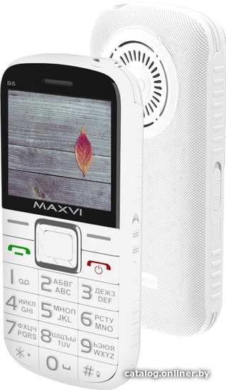 

Кнопочный телефон Maxvi B5 (белый)