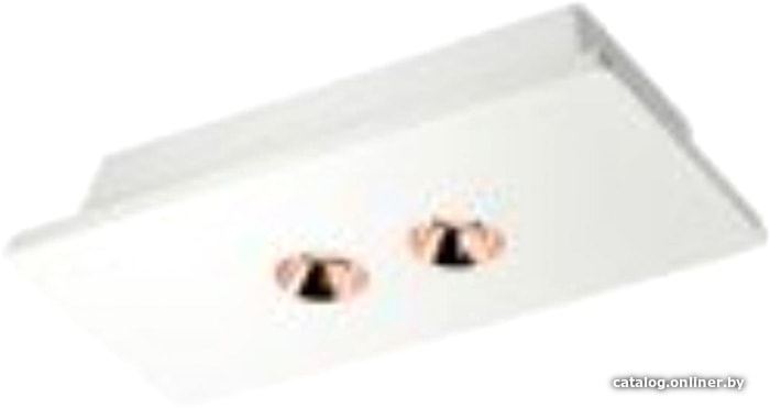 

Точечный светильник LOFT IT Architect OL1072-WG/2
