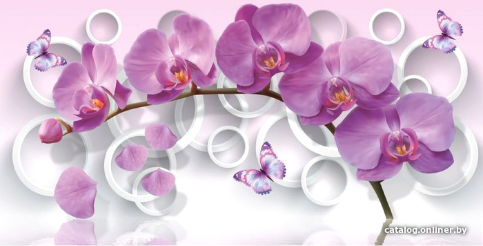 

Фотообои Citydecor Цветочная Абстракция 11 3D с защитным покрытием 500x260