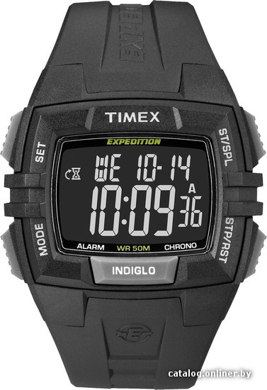

Наручные часы Timex T49900