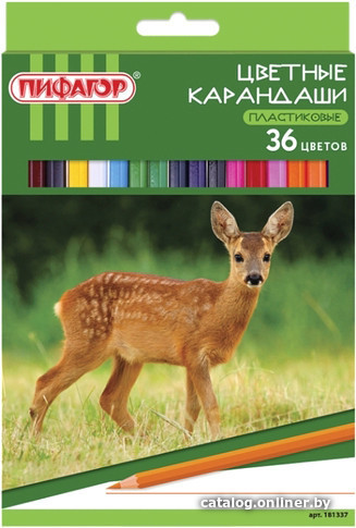 

Набор цветных карандашей Пифагор Лесные жители 181337 (36 цв)