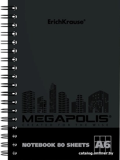 

Общая тетрадь Erich Krause Megapolis 80 л клетка 080266079-49808
