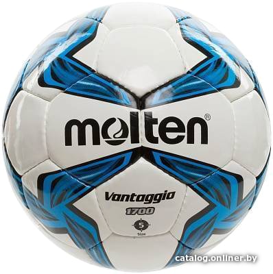 

Футбольный мяч Molten F5V1700 (5 размер)