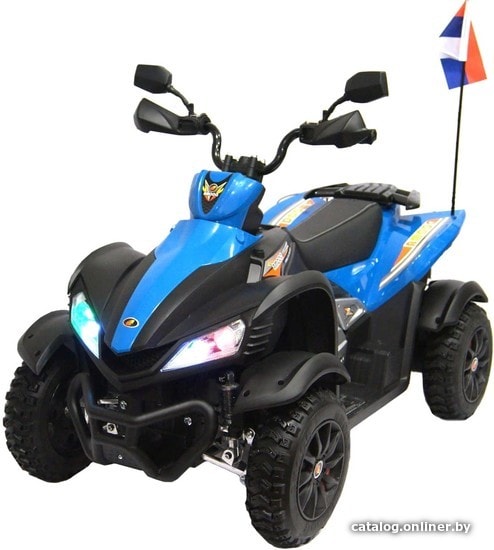 

Электроквадроцикл RiverToys P333PP (синий)
