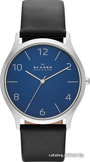 

Наручные часы Skagen SKW6151