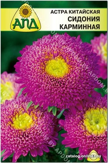 

Семена цветов АПД Астра китайская Сидония Карминная 100 шт
