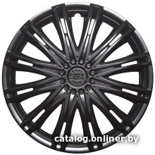 

Набор колпаков на диски АКС – авто Скай 13 58966 (черный)