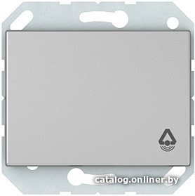 

Кнопка для звонка Vilma Express XP 500 P110-012-02 (металлик)
